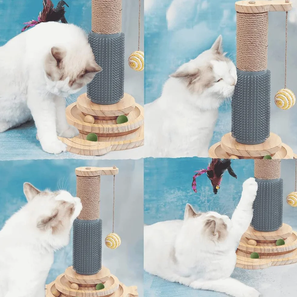 Marchul 5 en 1, Griffoir pour Chat avec Boule Suspendue, Jouet de Piste en Bois avec Plume à Ressort, Jouet d'intérieur interactif