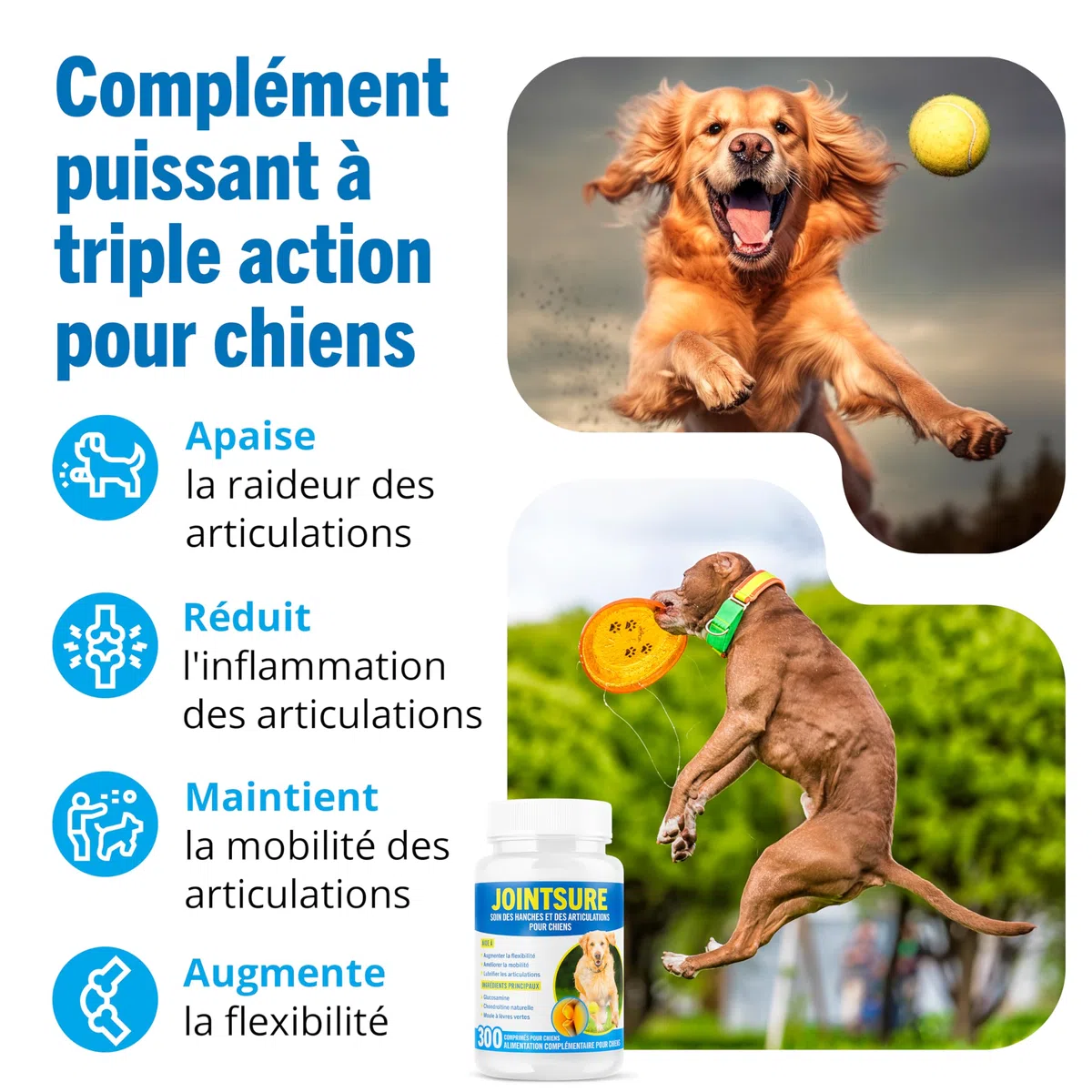 JOINTSURE Senior – Comprimés Premium de Soin articulaire avancé pour Chiens | 120 comprimés avec glucosamine et Moule Verte pour la mobilité et la solidité des articulations