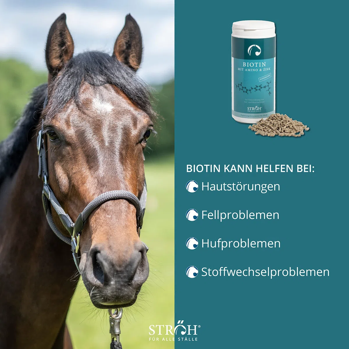 Ecom StrÖH - Biotin - 1kg Dose