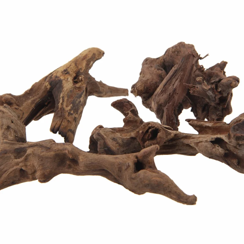 Emours Branches de bois flotté naturel pour décoration de vivarium taille assortie 4 pièces