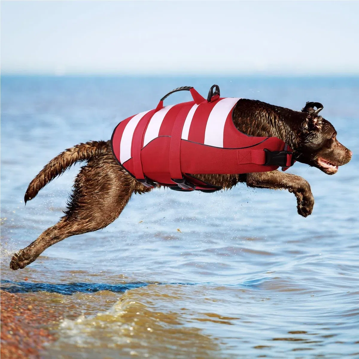 Gilets de Sauvetage pour Chiens Gilet de Flottaison Animaux Réglable,Gilets de Flottaison pour Animal de Compagnie avec Souple Poignée Pet Life Jacket(Rouge,L)