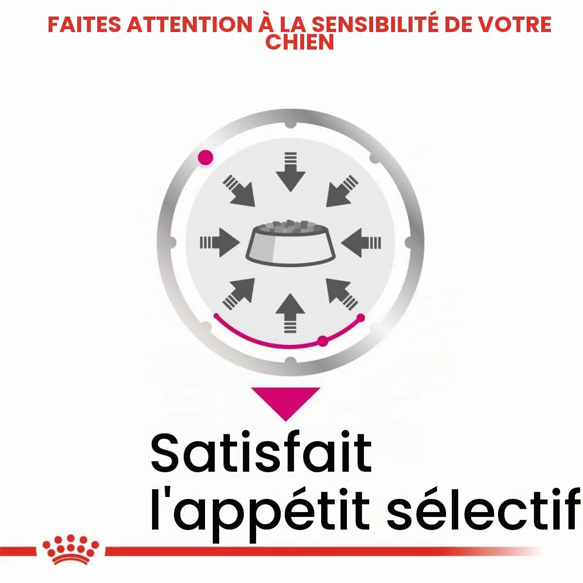 Royal CANIN Exigente Mousse | 12 x 85 g | Nourriture Humide pour Chiens Adultes à partir de 10 Mois | pour Chiens Difficiles | avec protéines de qualité supérieure