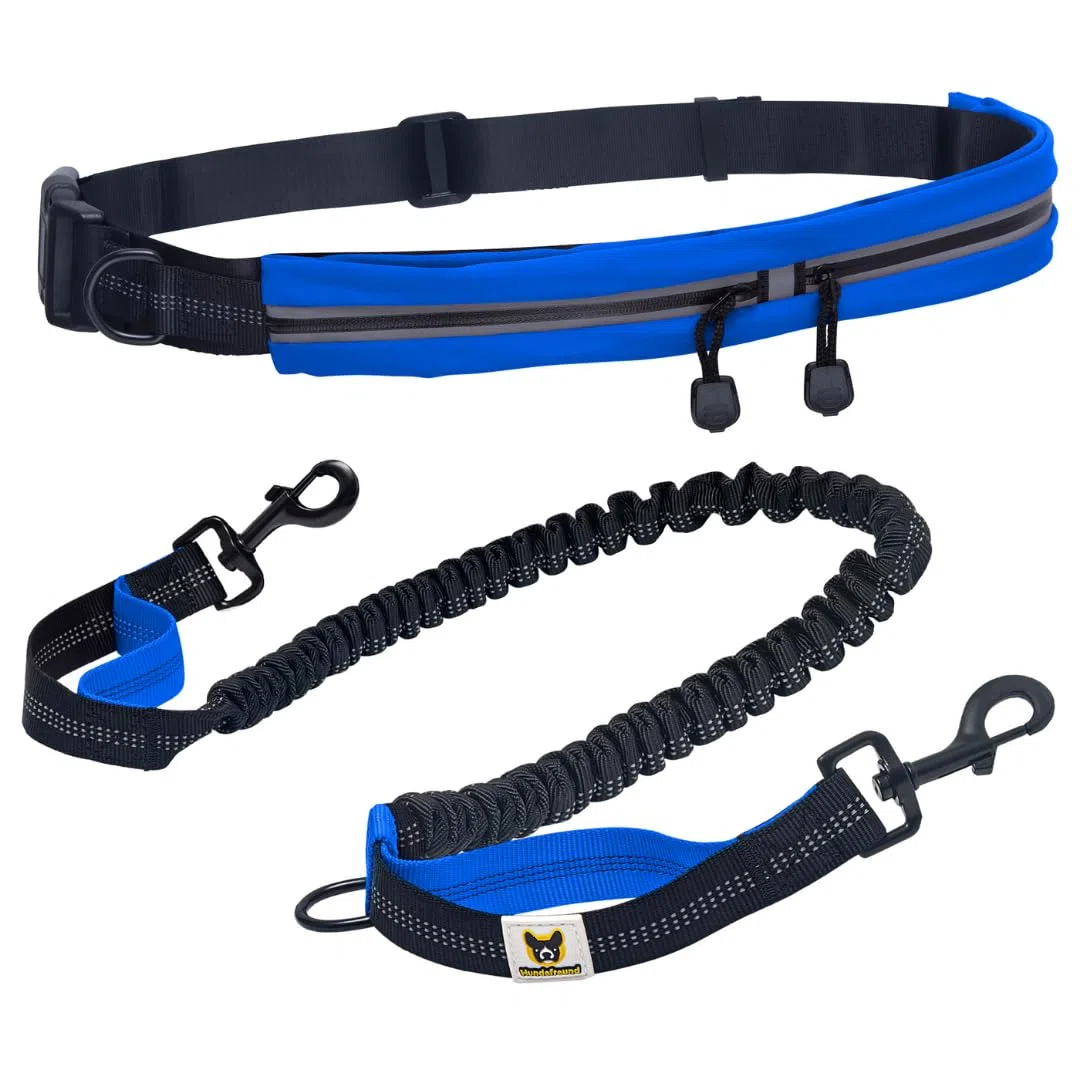 Hundefreund Laisse de Jogging avec Ceinture | Laisse pour Canicross de 120 à 180 cm pour Chiens de Taille Moyenne à Grande | Faites du Vélo, de la Course à Pied et de la Randonnée aux Mains Libres