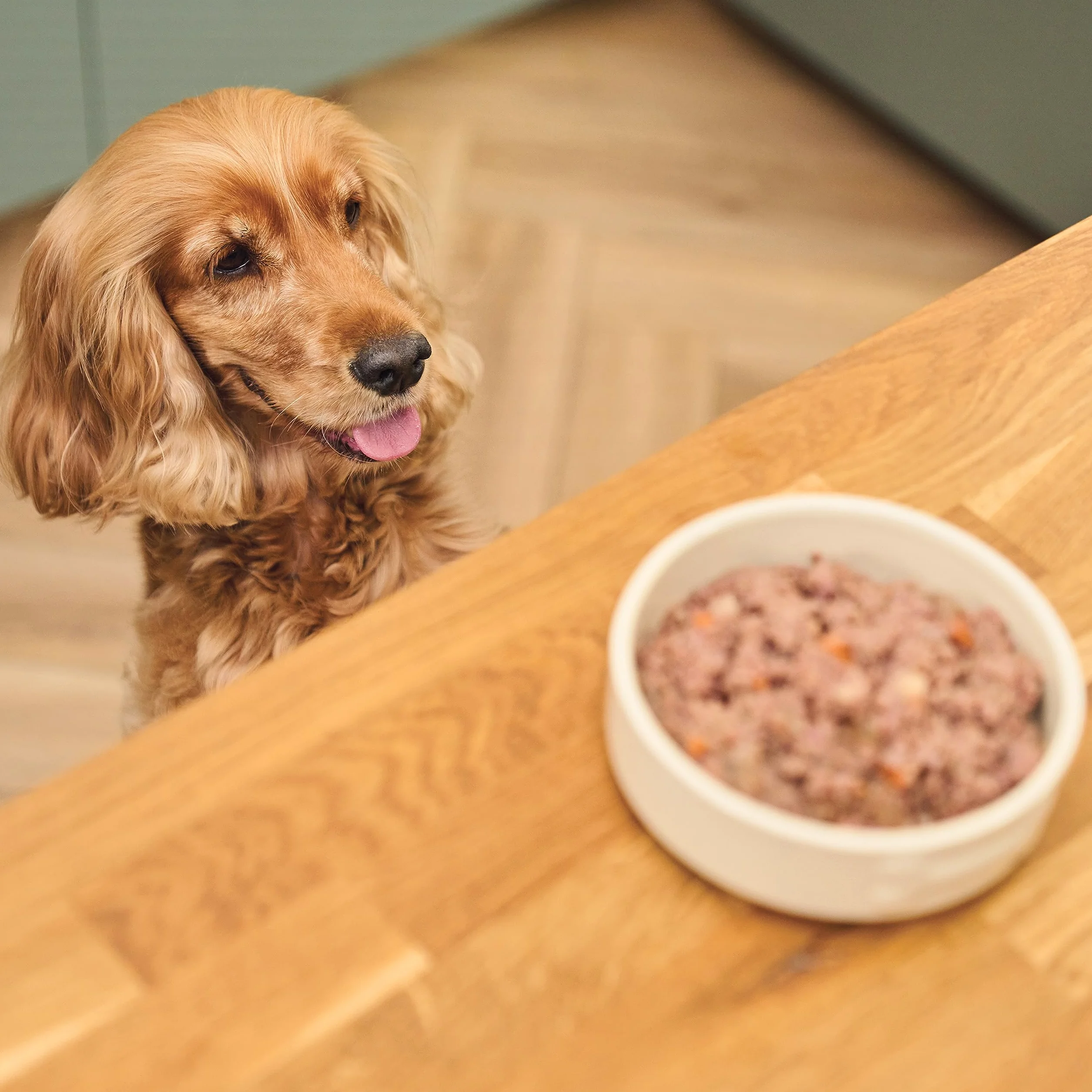 Lily's Kitchen Aliment humide naturel en boîte pour chiens adultes, recette sans céréales, multipack (12 x 400g Conserve)