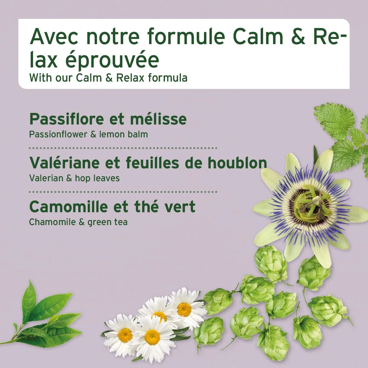 AniForte Snack Relax, Friandise Premium pour Chiens 300 g - Détente et apaisement Naturel, Snack Anti-Stress, à la valériane, à la mélisse et au romarin, Aide en Cas d'anxiété et de nervosité