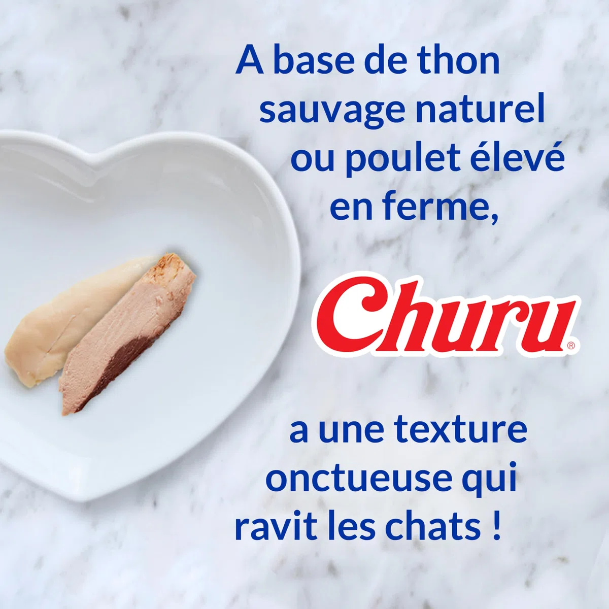 INABA Chicken Fillet Grilled - Friandises pour Chats en Filet de Poulet - Bouillon Aromatisé au Pétoncle - Snack Grillé et Riche en Antioxydants - Nourriture pour Chats - 12 Filets de 25g