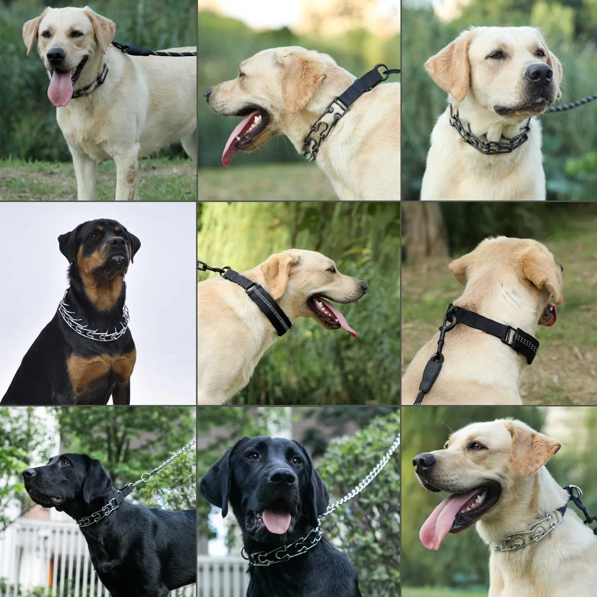 Collier de Dressage à Griffes pour Chien, Collier de chaîne réglable avec Embouts de Confort et Boutons-Pression à dégagement Rapide (XL)