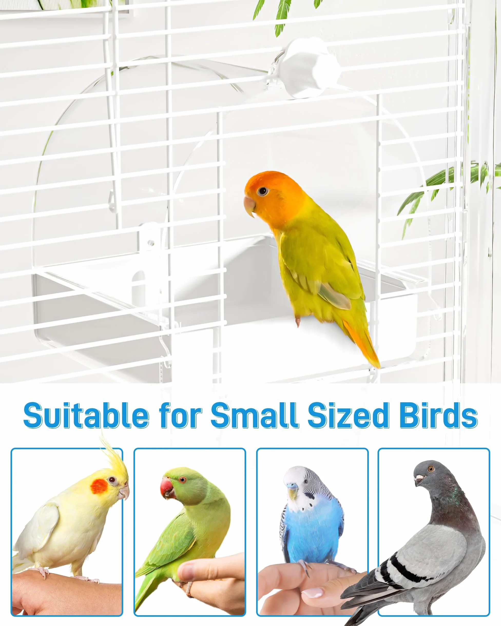BUCATSTATE Bird Bathroom Transparent