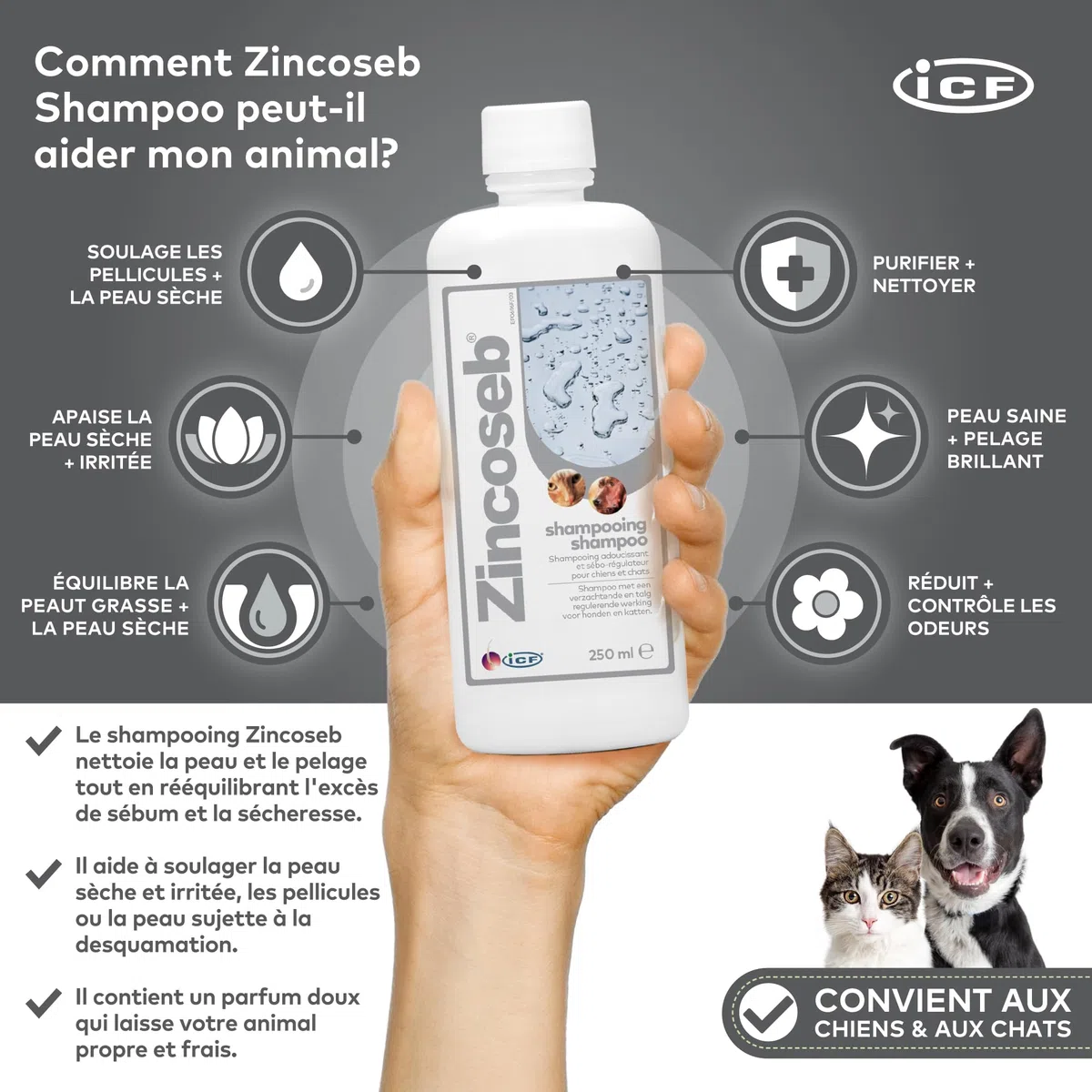 Zincoseb Shampooing | Shampoing Sébo-Régulateur et Hydratant pour Chien et Chat | Poil Sec, Terne ou Gras, Pellicules, Mauvaises Odeurs | Idéal pour la Peau Sensible du Chiot et Chaton | 250 ML