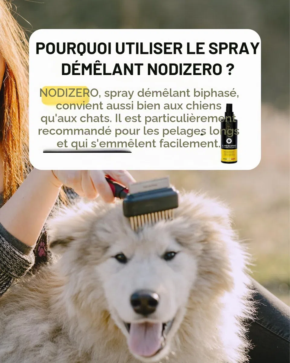 Il Principino - Spray Démêlant chien et chat, idéal pour dissoudre nœuds, demelant chat poils longs, démêlant efficace poils de chien, aide le brossage, illumine,empêche la formation des nœuds 200 ml