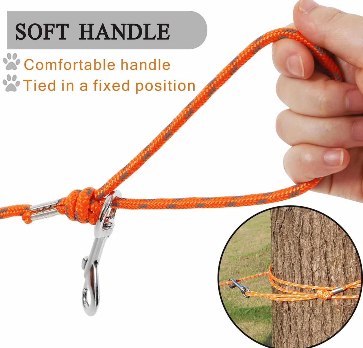 Laisse réfléchissante pour Chat – Câble Anti-Fugue – Laisse Longue et sûre pour la Marche, la Cour, Durable, sûre, personnalisée, pour Chiots, Chatons, Lapins, Petits Animaux