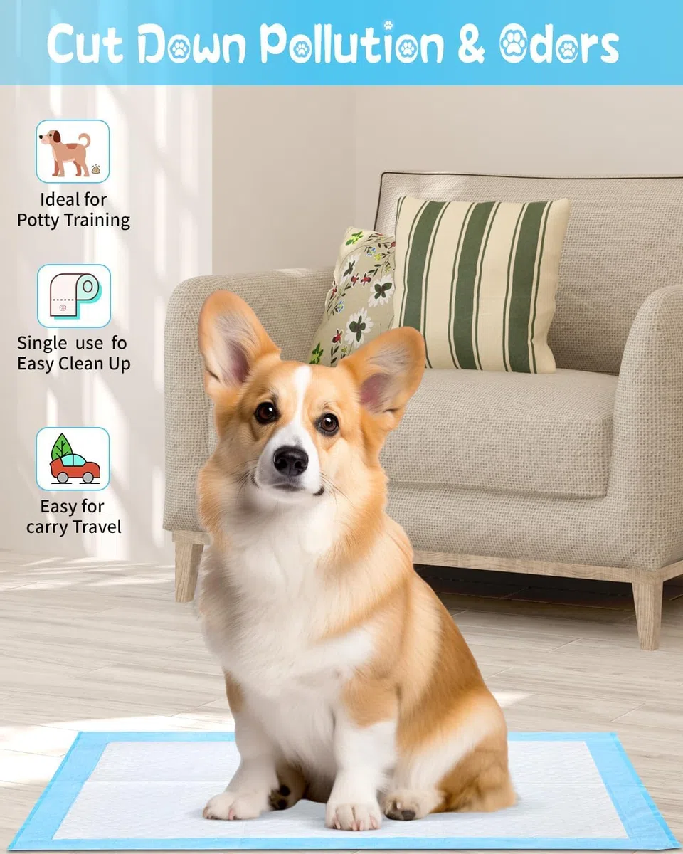 Tapis hygiénique pour Chiot -100 Pièces Alaise pour Chien,Tapis éducateurs pour Chiot, Apprentissage de la propreté pour Chien et Chat,Alese Jetable, Tapis Absorbant,