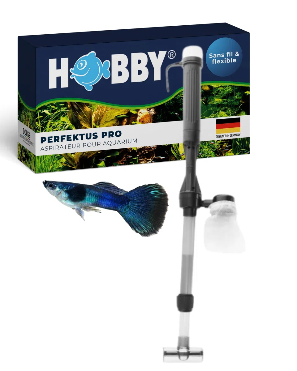 Hobby Aquaristik Perfektus Pro I Aspirateur d’Aquarium Rechargeable I Nettoyeur Efficace pour éliminer Le mulm et Les saletés I Aspirateur électrique avec débit de 650 l/h
