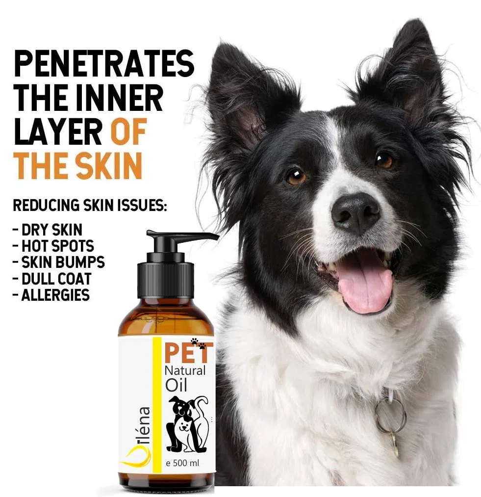 Huile de Saumon Premium pour Chiens & Chats | Oméga 3, 6, 9, Vitamine E | Boost Énergie, Vitalité | Renforce Immunité | Peau, Pelage Sains | 2000 ML
