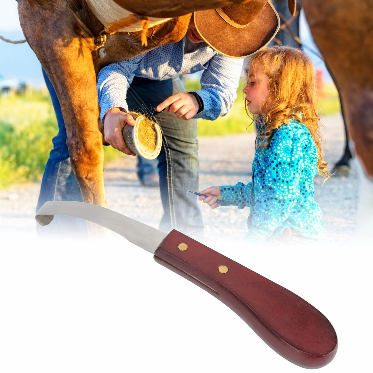 Outil de Coupe de Sabot pour Cheval, Couteau à Sabot en Acier Inoxydable Manche en Bois de Caoutchouc, Couteau à Sabot Double Tranchant Lame Double Face Main Droite