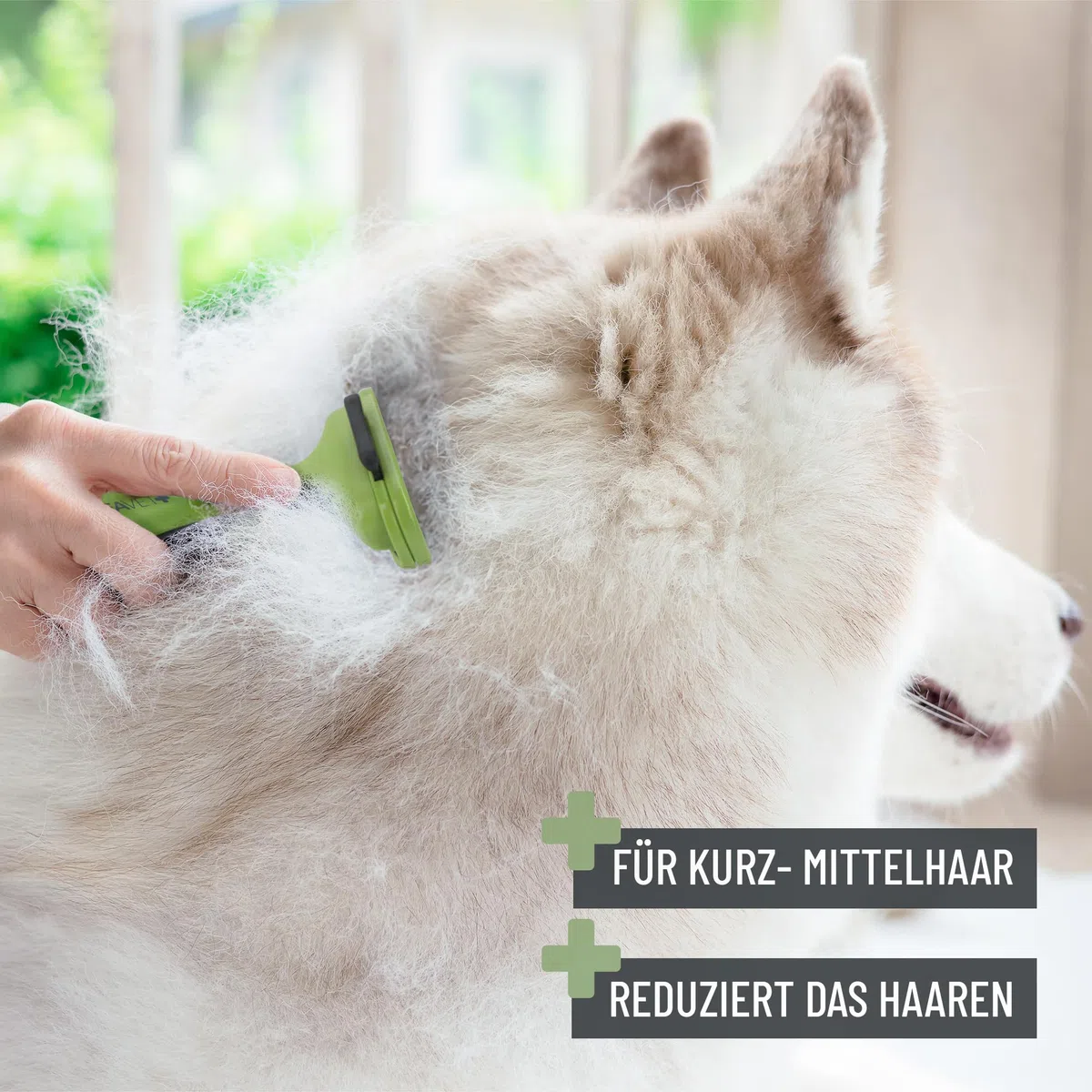 ReaVET Peigne pour sous-poil pour chiens et chats à poils courts I Grandes races I Enlève le sous-poil I Nourrit les poils de couverture I avec bouton autonettoyant I Peigne pour chat idéal pour