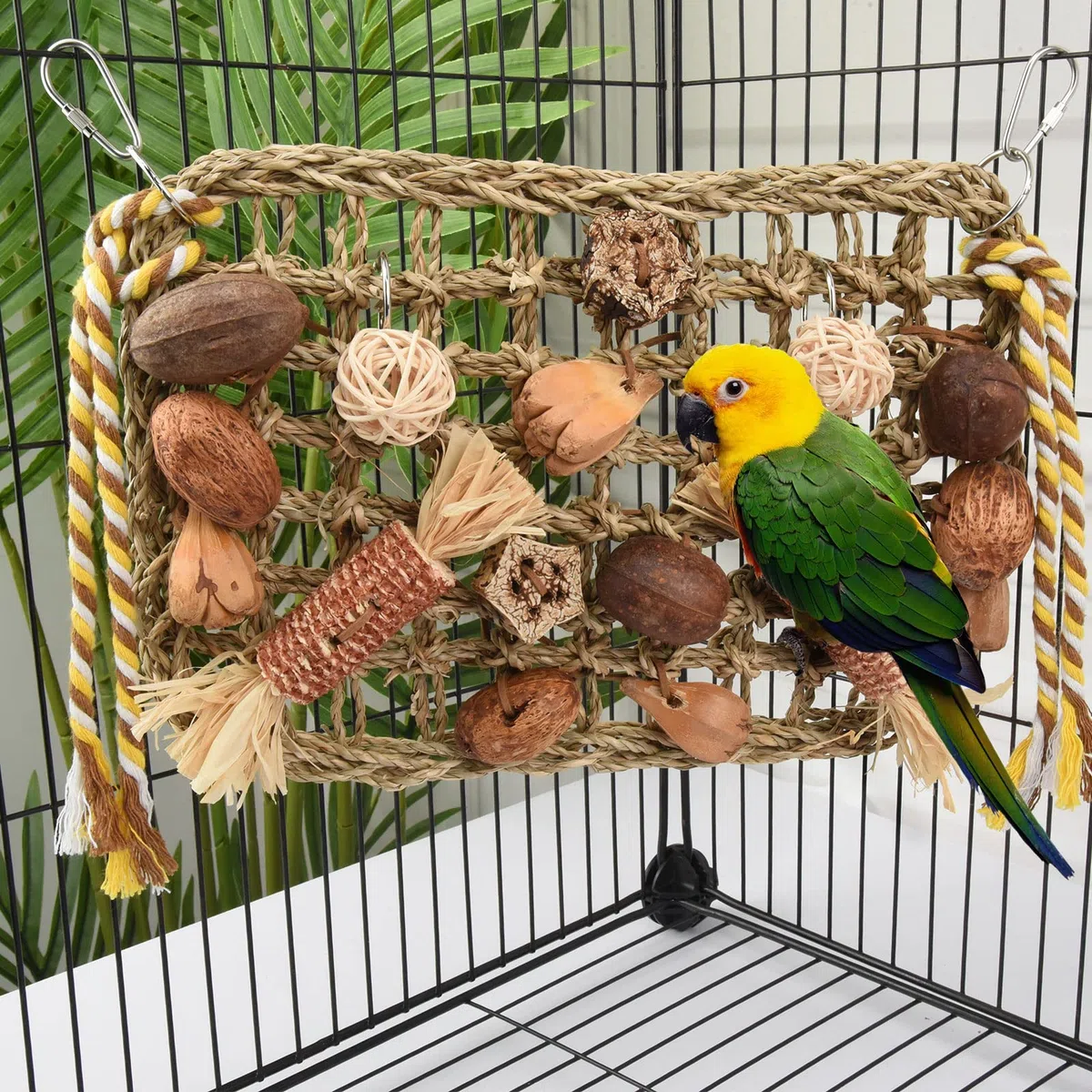 Jouets pour Oiseaux, Jouet Perroquet, Jouet Perroquet Gris du Gabon Mural Suspendu Naturel Jeux pour