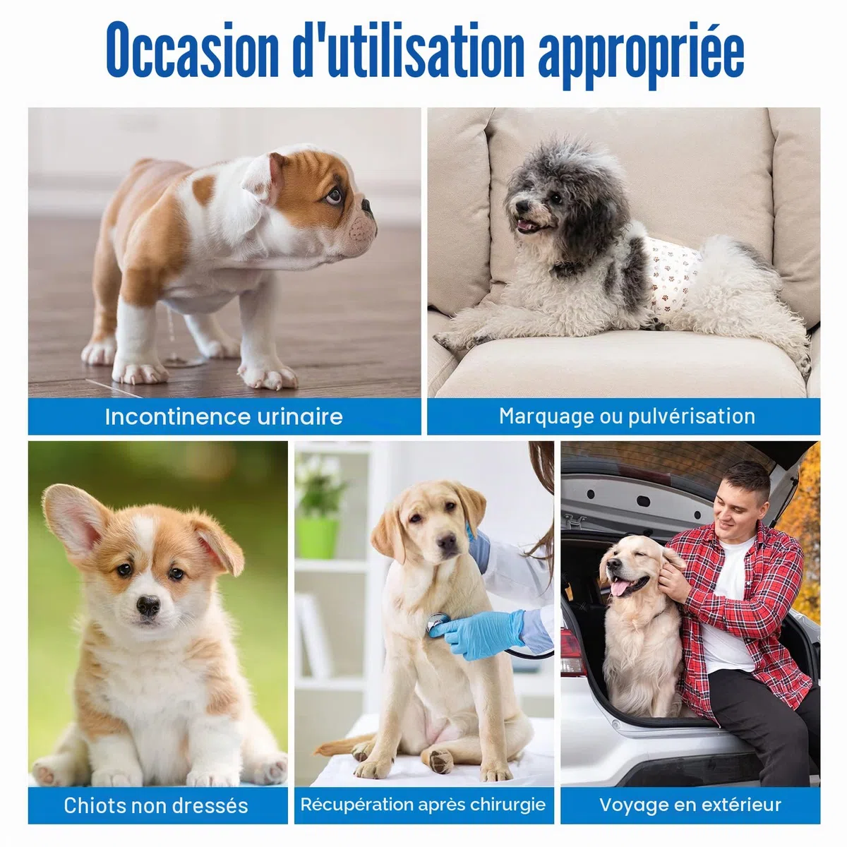 Pet Soft Couche Chien Male, Lot de 20 Couches Jetables pour Chiens Male, Super absorbantes Couche pour Chien Incontinent avec Indicateur d'humidité (S-20 Unité)