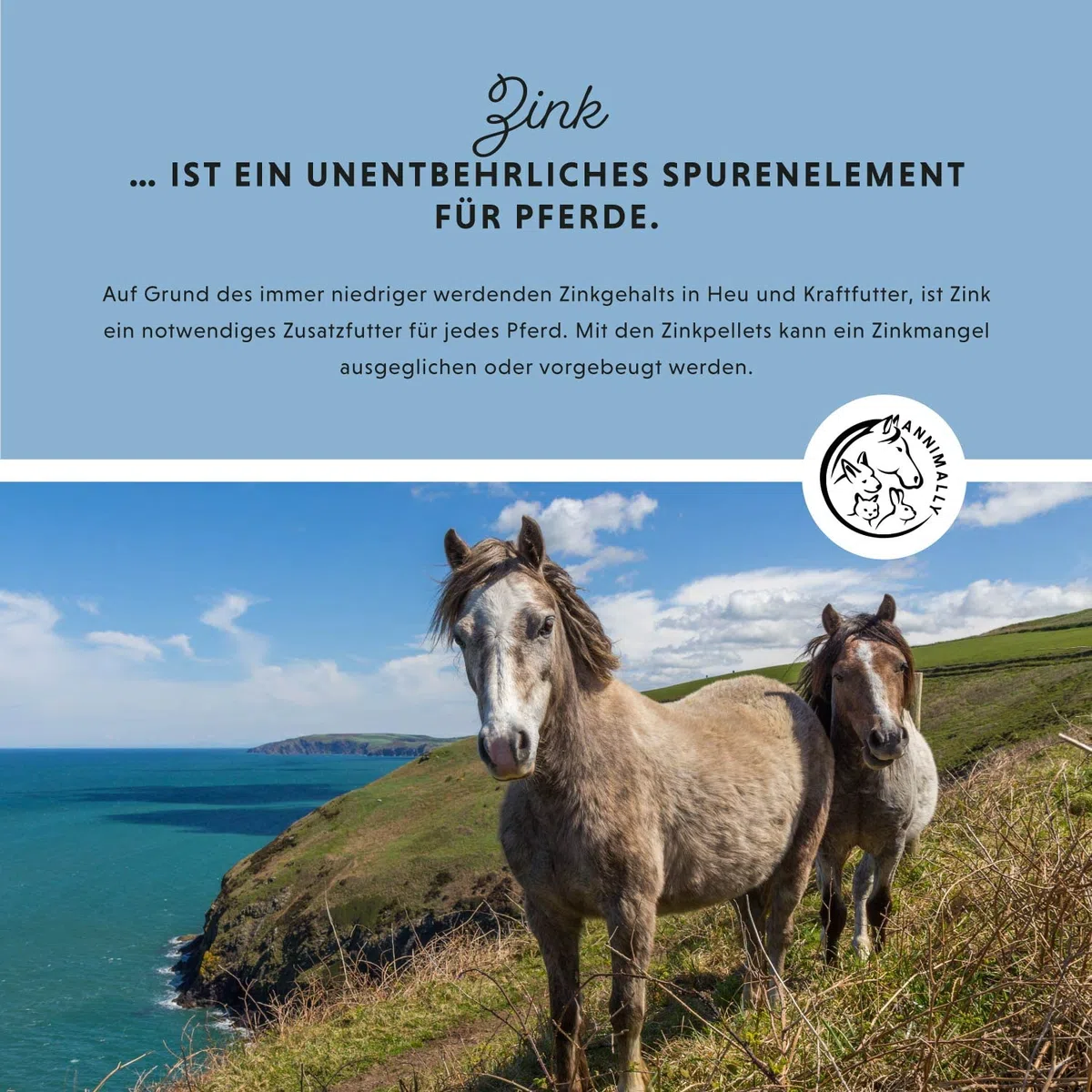 Annimally Zinc pour Chevaux - Pellets de Zinc (700g) Haute Dose avec Cumin Noir, zéolite, Sainfoin et levure de bière pour la Peau, Les Poils et Les Sabots