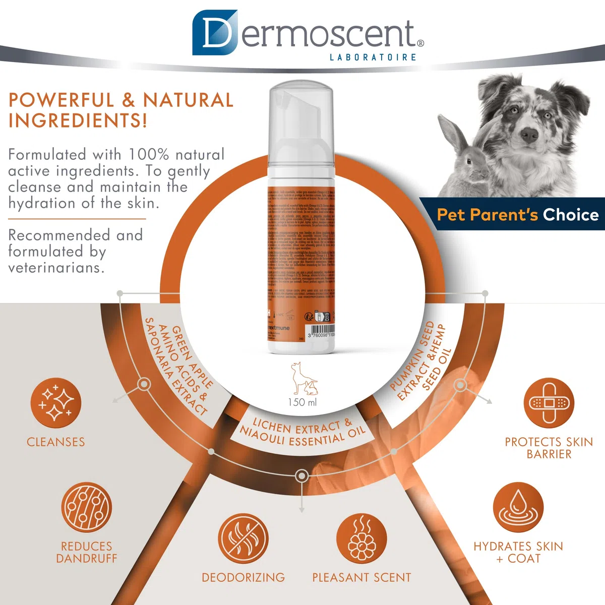 Essential Mousse pour Chien et Petits Mammifères | Soin Nettoyant Protecteur sans Rinçage | 150 ML | Usage Facile et Naturel | Dermoscent