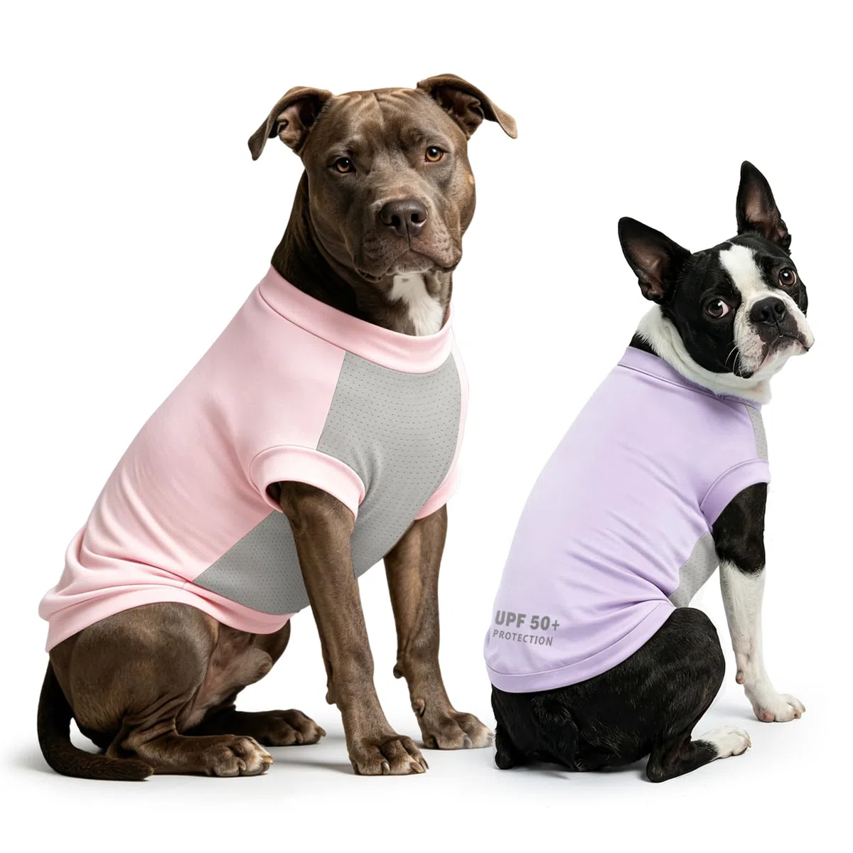 Chemise Chien Protection UV 2Pack, T-Shirt Chien léger Gilet Refroidissement Vêtements d'été Sec Rapide Chiens Confort Chemises Soleil pour Petits Chiens Grands Chats