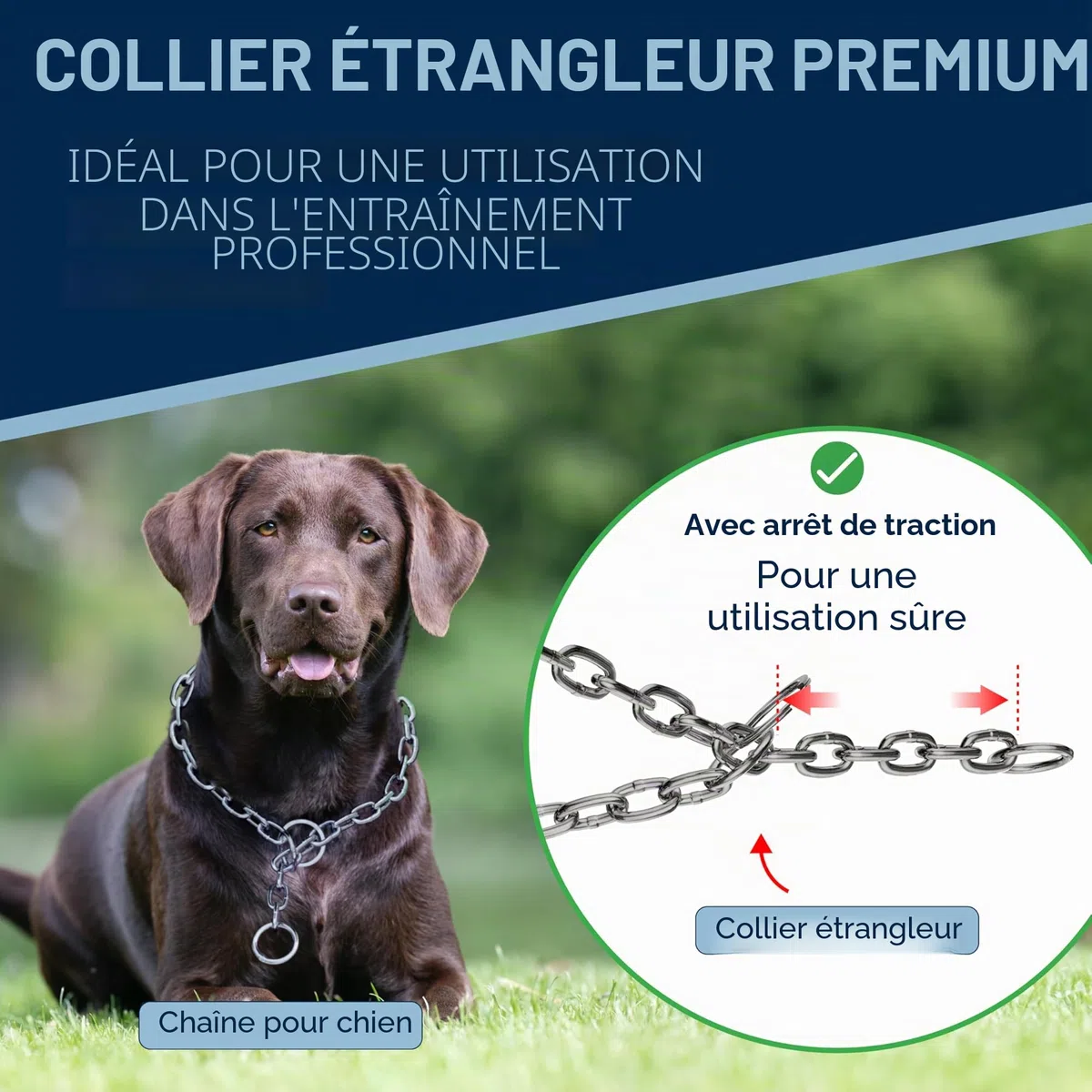 Collier de Dressage Chien Acier Inoxydable – chaîne maillons Longs, 4 mm, 51 cm, léger et Discret, Anti-Traction