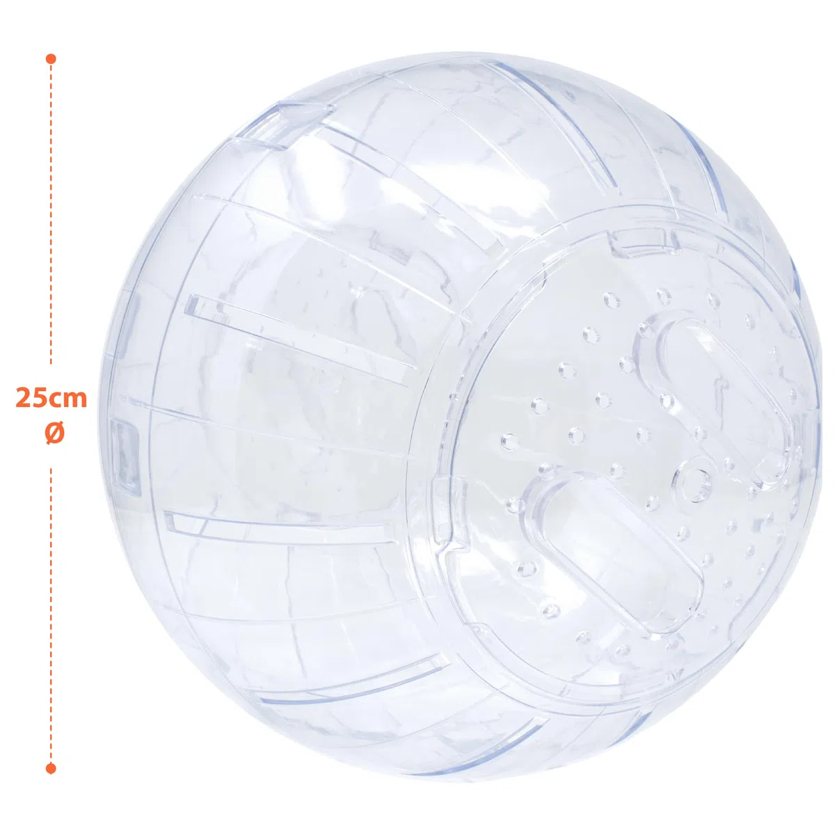 ICA GD10025 Boule d'exercice pour rongeurs 25 cm Couleurs Assortis