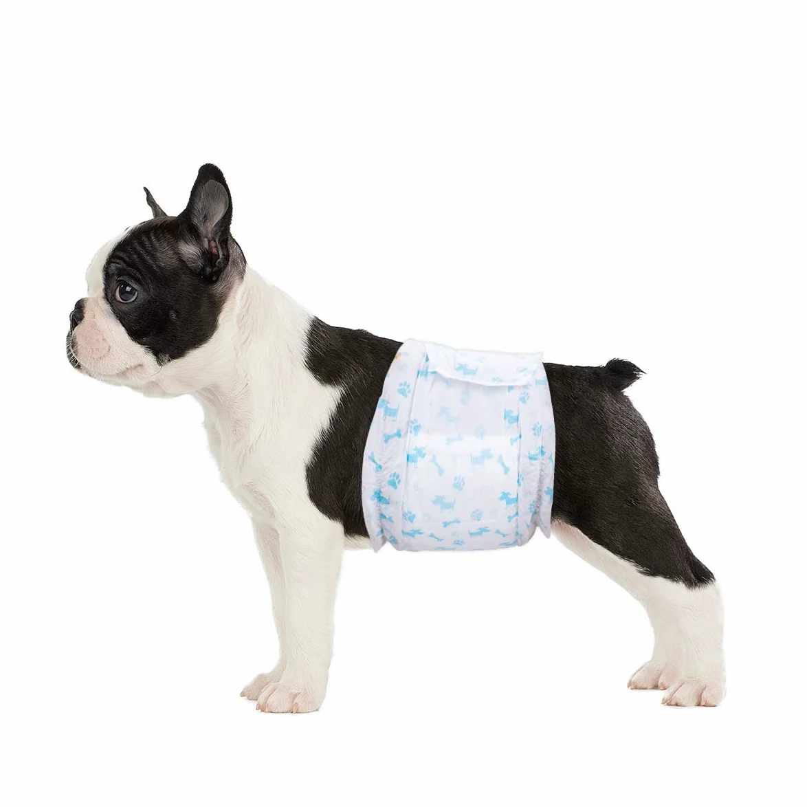 Couches pour Chien Mâle Taille S - 52 Bandes Abdominales Jetables, Ultra Absorbantes Incontinence, Apprentissage Propreté, Voyages