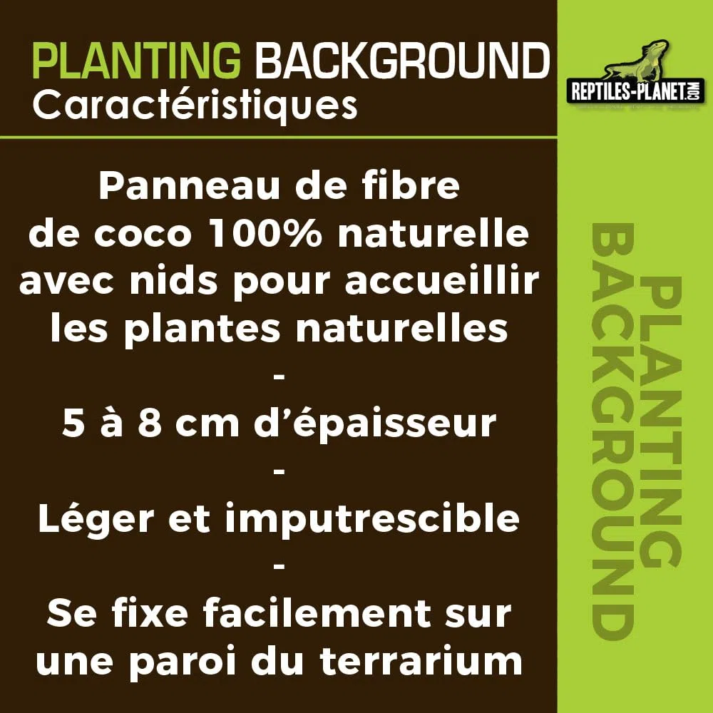 Reptile Planet - Planting Background - Décor en Fibre de Coco pour Terrarium - 20 x 30 cm