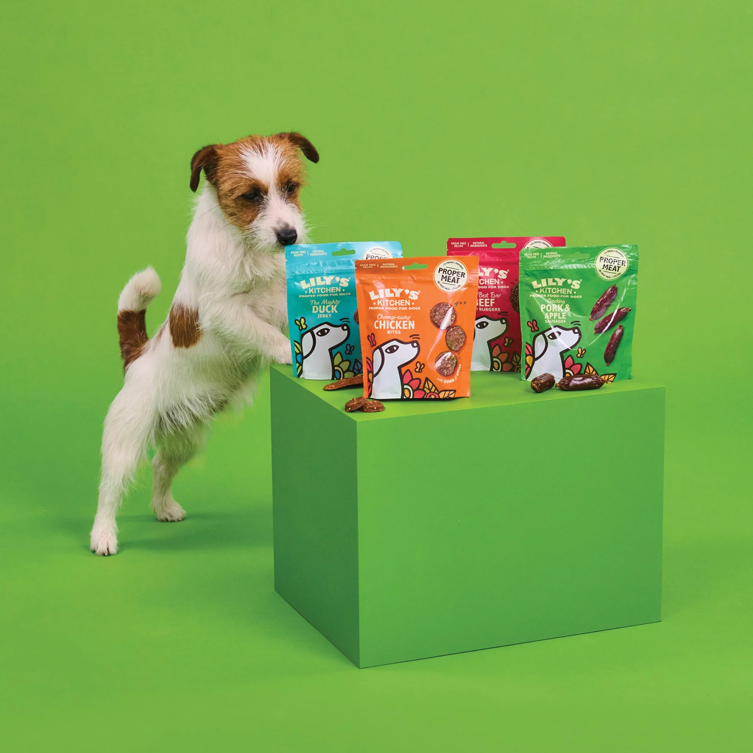 Lily’s Kitchen Fabriqué à partir d’ingrédients naturels Paquet de friandises Mini Jerky de délicieux Canard pour Chiens de Petite, Moyenne et Grande Taille 8 x 70g