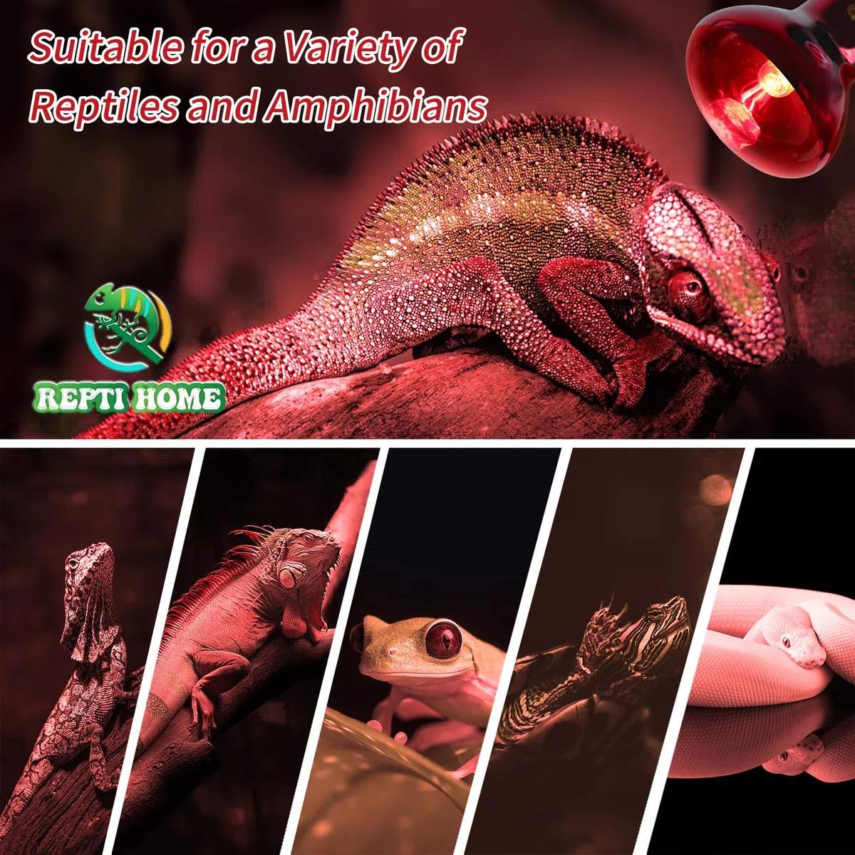 Lampe Chauffante Infrarouge Pour Reptiles, 2 Pièces de 50W Lampe Infrarouge Pour Reptiles Et Amphibiens, Lampe Chauffante Rouge Pour Poulailler, Tortue