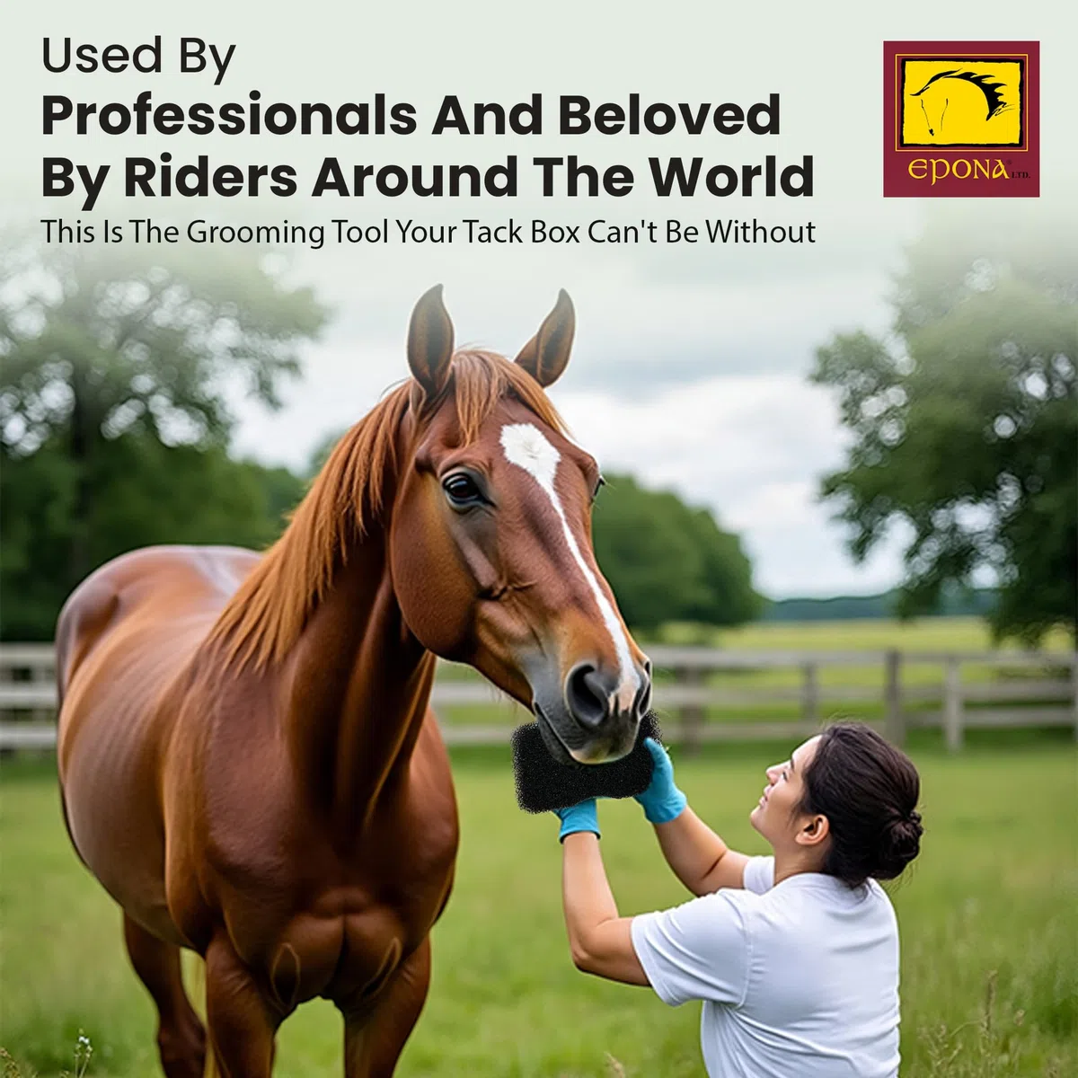 Epona 0757475332685 Tiger's Tongue Horse Groomer