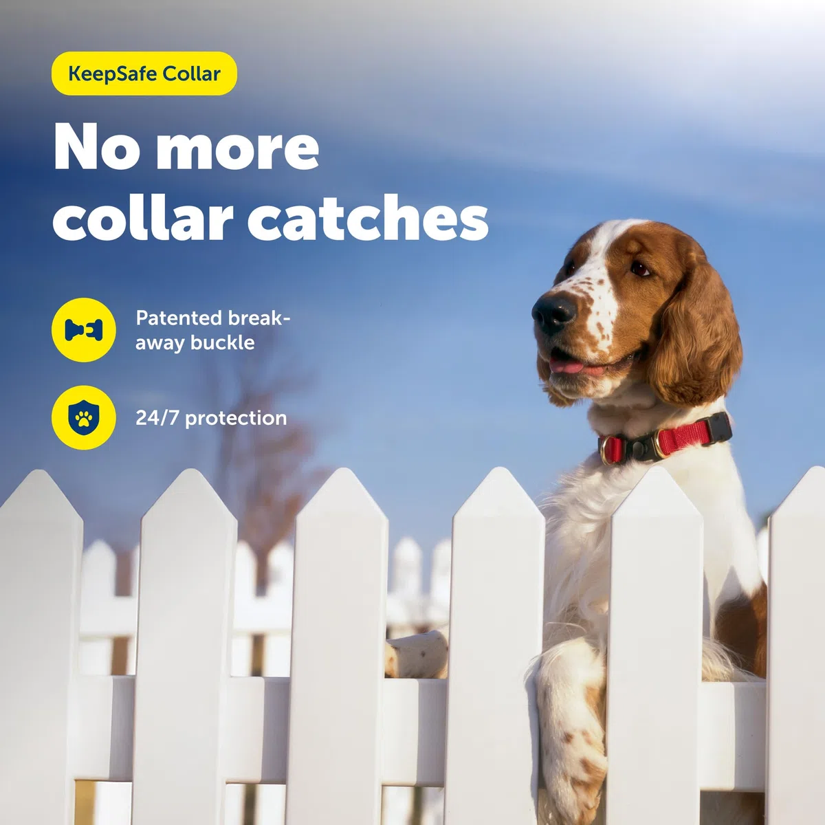 PetSafe KeepSafe Collier avec système Anti-étranglement pour Chien