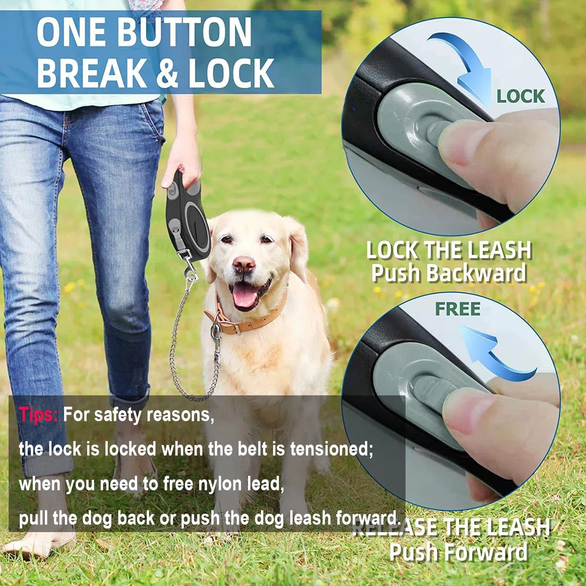 Laisse rétractable en Nylon avec chaîne Anti-Mastication, très résistante pour Chiens de Taille Moyenne et Grande 8 m, Gris