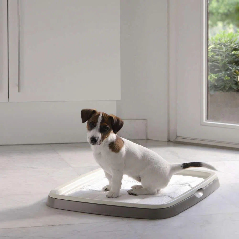 Savic Puppy Trainer Kit pour Chien 48 x 35 cm 7 Pièces