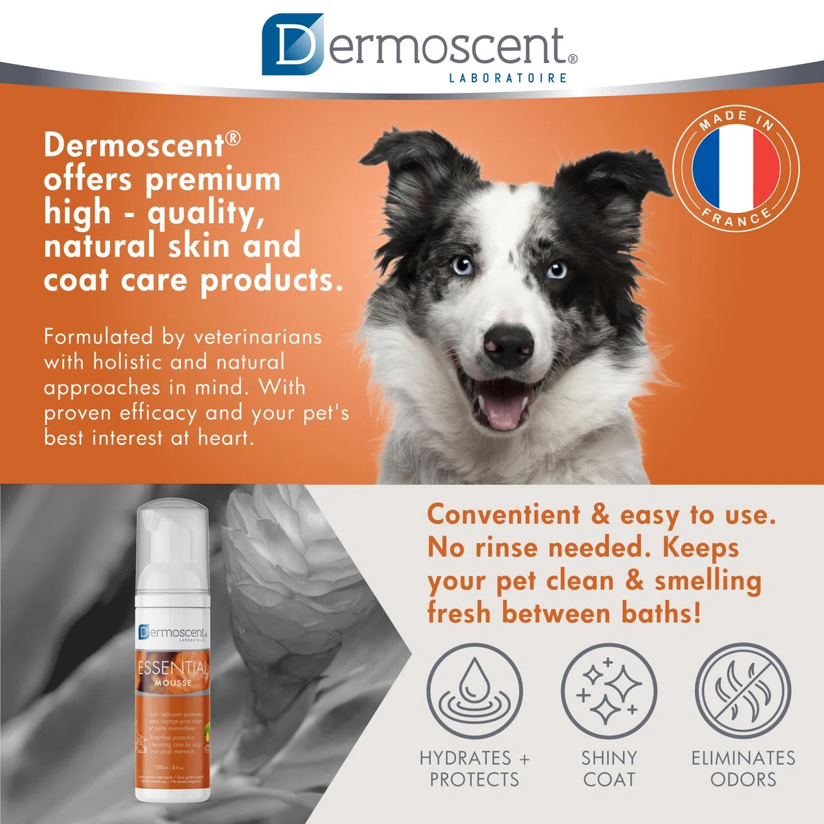 Essential Mousse pour Chien et Petits Mammifères | Soin Nettoyant Protecteur sans Rinçage | 150 ML | Usage Facile et Naturel | Dermoscent