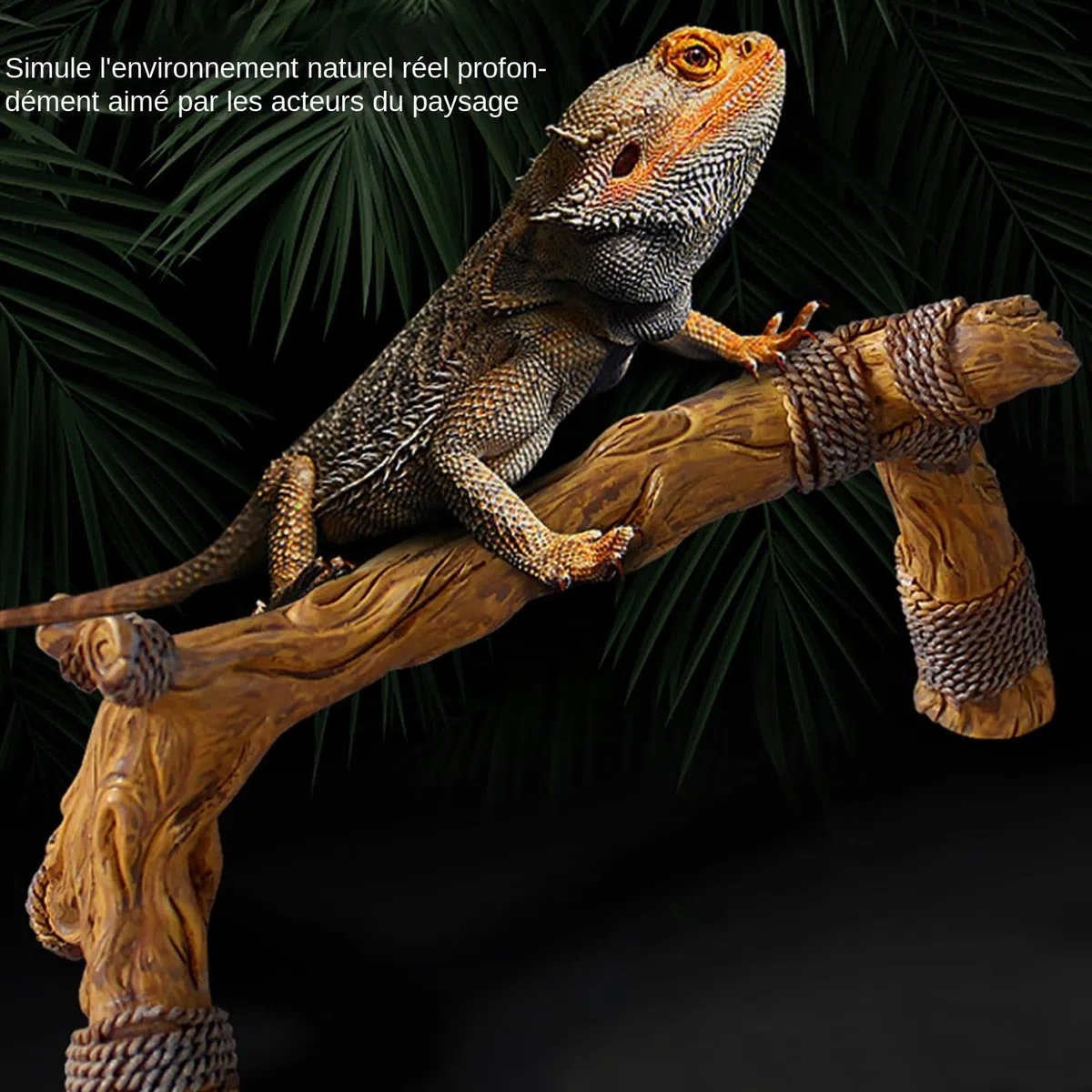 Branches Grimpantes Pour Reptiles | Branches De Bois Pour Reptiles | Habitat D'escalade Pour Animaux De Compagnie | Décoration D'habitat Pour Reptiles | Branche D'arbre Grimpante Pour Caméléons, Lézar