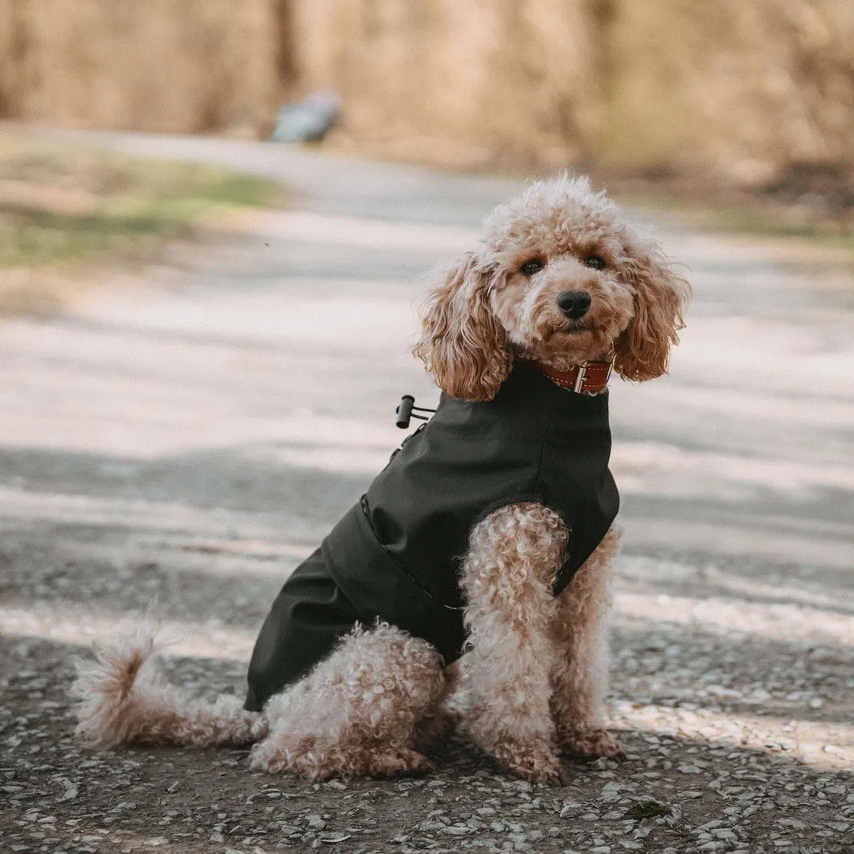 HUNTER Manteau de Pluie pour Chien Milford, Couleur : Noir, Coupe Ergonomique pour Une Protection optimale, réglable Individuellement, Fermeture éclair pour Porte-Vaisselle, Facile d'entretien et