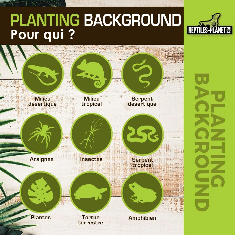 Reptile Planet - Planting Background - Décor en Fibre de Coco pour Terrarium - 20 x 30 cm