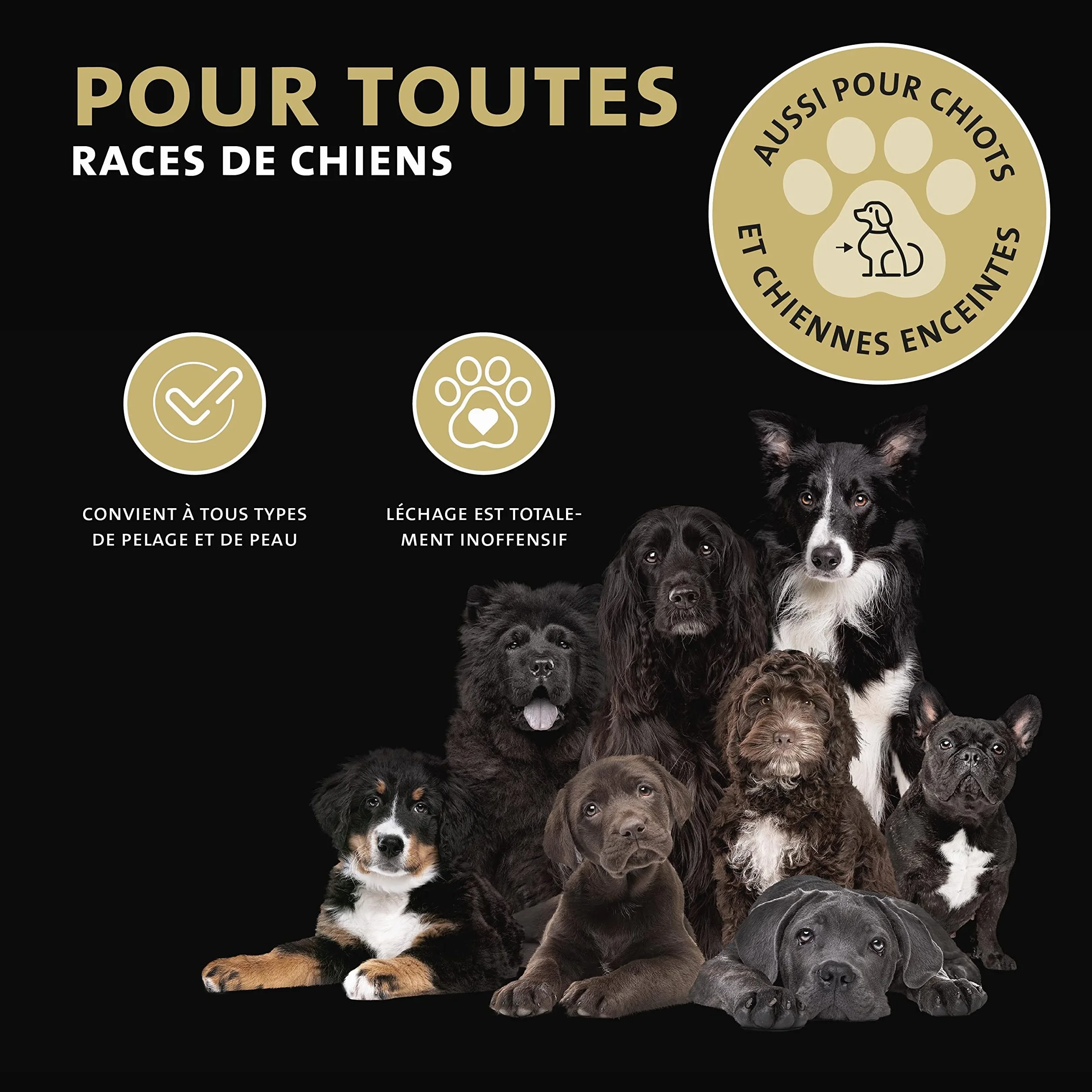 Peticare Chien Baume pour Pattes - Soin de Protection en Cas d'inflammation, Protege Coussinet gerce ou Fragile, Évite durcissement, Protection Contre Sel en Hiver, Pommade Creme - petDog Care 2103