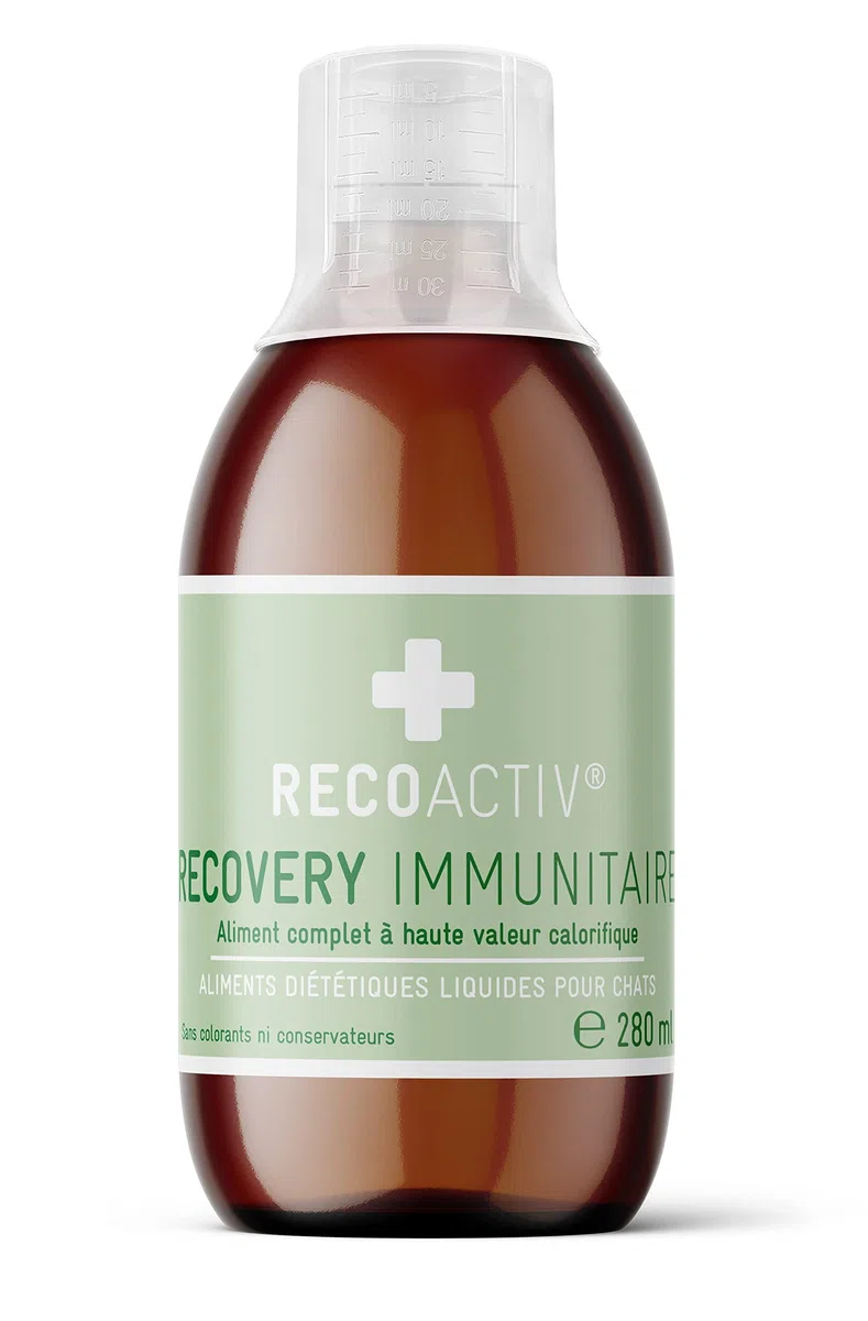 RECOACTIV Recovery Immunitaire pour Chats, 1 x 280 ML, Alimentation diététique complète hautement calorique en Cas de dénutrition et de Convalescence Ainsi pour la Prise de Poids