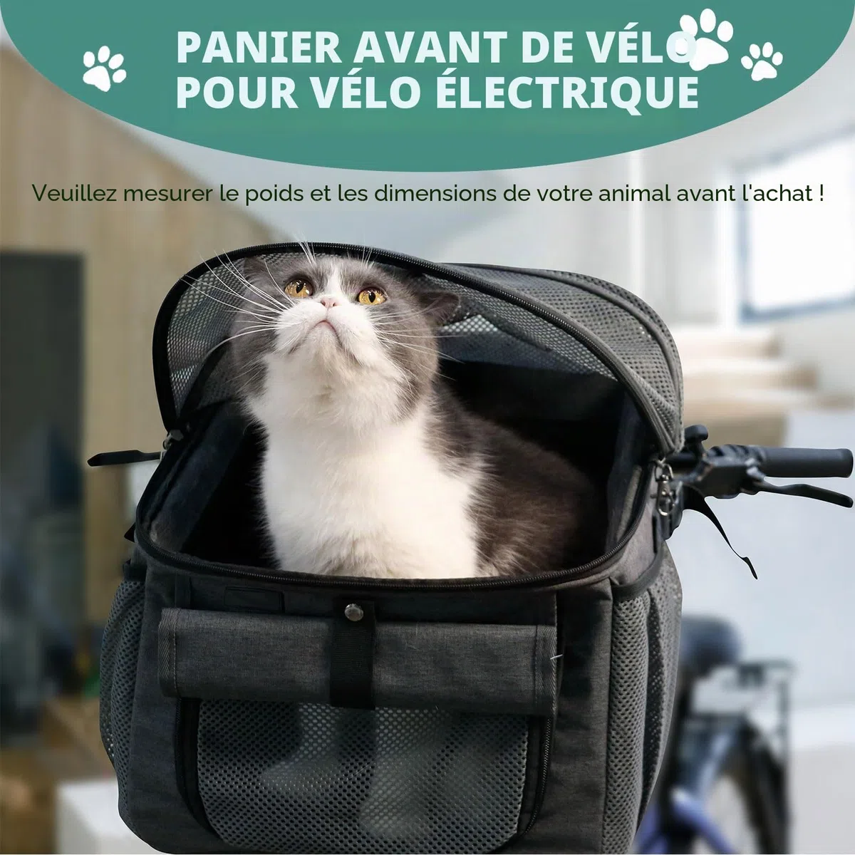 Panier de Vélo pour Chien, Sac à Dos pour Chat Pliable avec Fenêtre en Filet et Ceintures de Sécurité, Panier Velo Chien Pliable Sac à Dos Animaux de Compagnie (Noir)