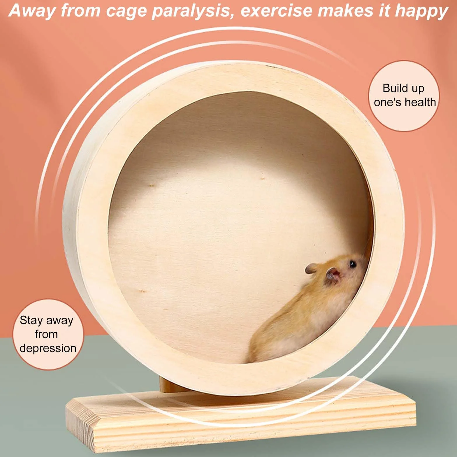 Roue pour hamsters, en bois, Ø 15 cm, avec bande de roulement en liège, silencieuse et pour petits animaux