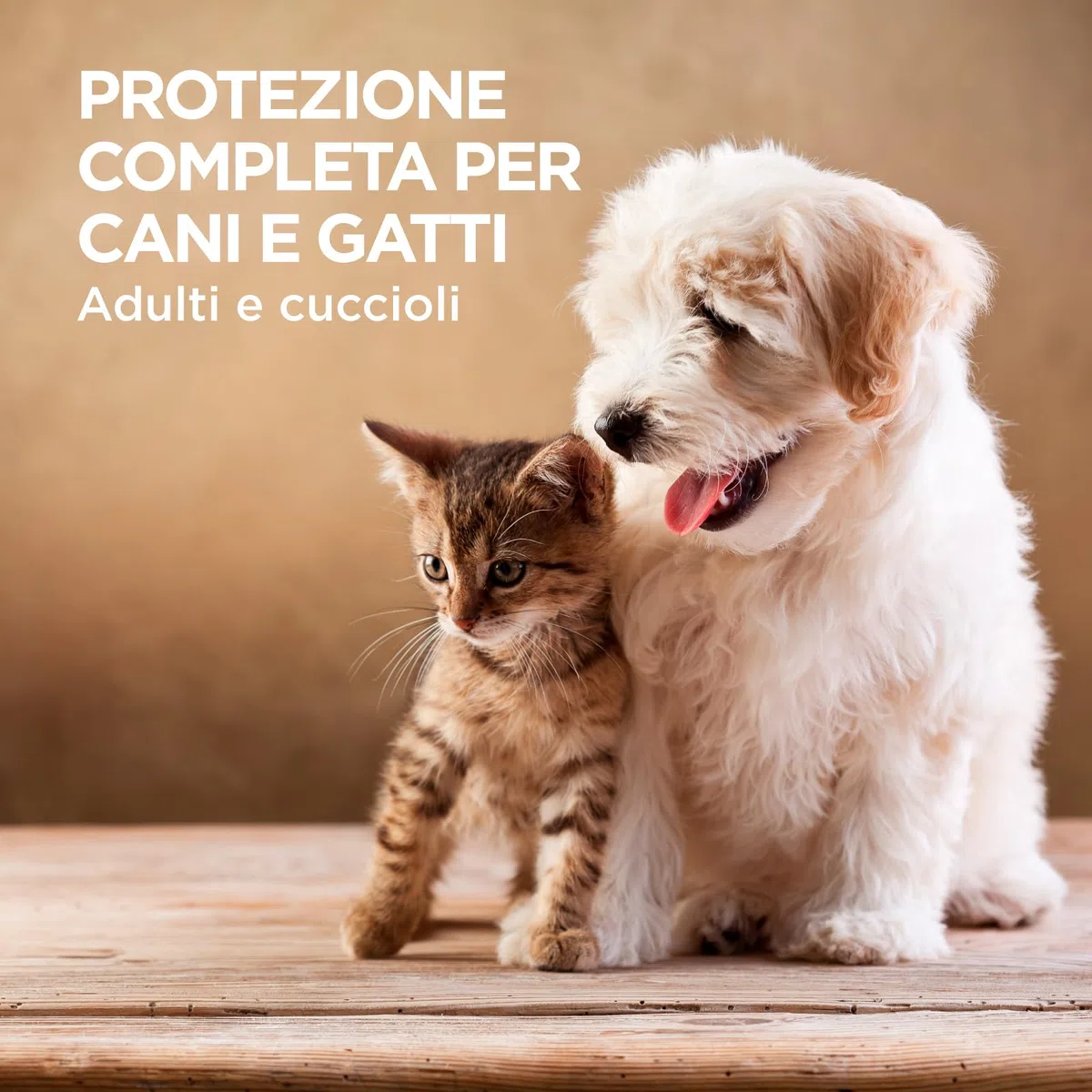 Bio PET Traitement de protection à l'huile de Neem 250 ml, Anti Moustique Chien