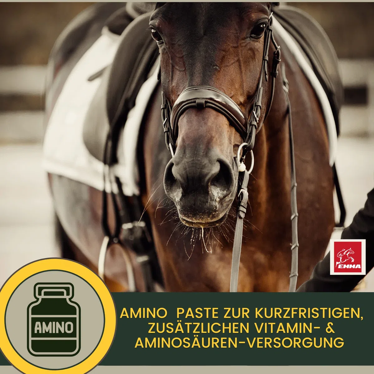 Acides Aminés Musculation Cheval - pour des Entrainements Efficaces - Performance Pate d'acides aminés Vitamine E Renforcement récupération Musculature Régénération énergie pour Muscles Chevaux 30ml