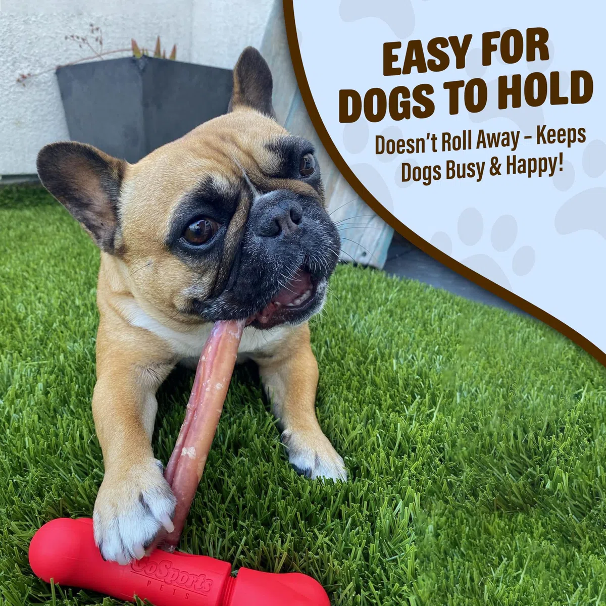 GoSports Chew Champ Support de bâton d'intimidation pour Chiens – Maintient solidement Les bâtons d'intimidation pour éviter l'étouffement – Petits Chiens de 4,5 à 13,6 kg