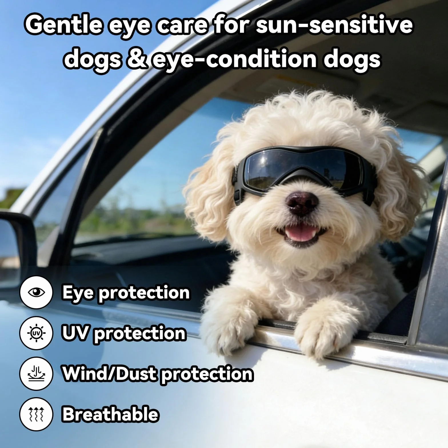 Lot de 2 lunettes pour chien avec casque, casque et lunettes pour chiens de petite et moyenne taille - Noir