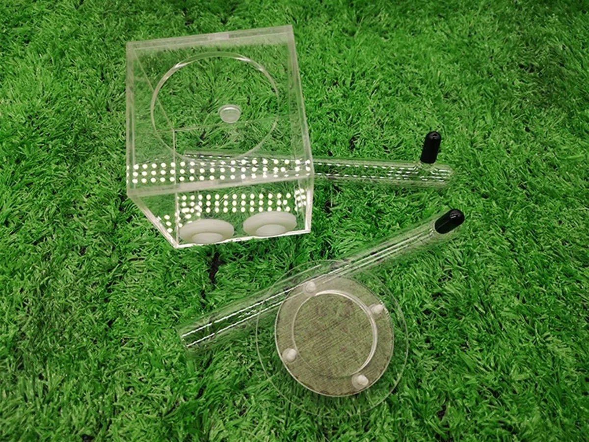 Nid Fourmis Acrylique Ant Habitat Ants Farm Transparent Boîte Fourmilière Fourmi Nid Educational Insecte Villa 7 X 7 X 7cm Animaux Mania Maison Anniversaire Cadeau