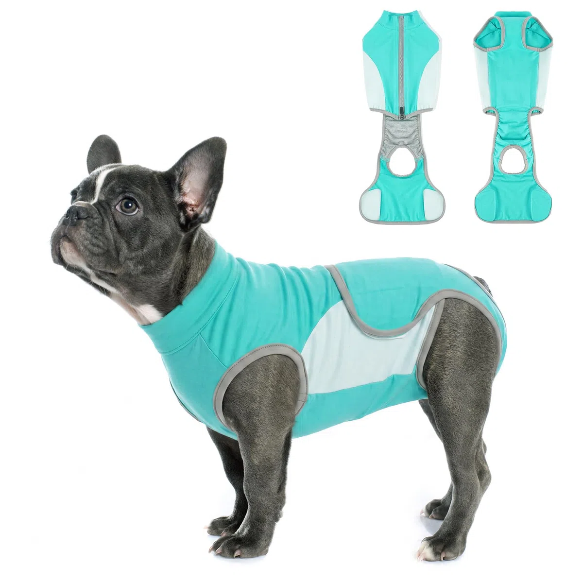 Body Chien Après Opération, Body Post-Opératoire en Coton Doux avec Fermeture Éclair, Combinaison Médical Anti-Léchage, Alternative à la Collerette pour Chien Mâle et Femelle, Bleu Aqua L