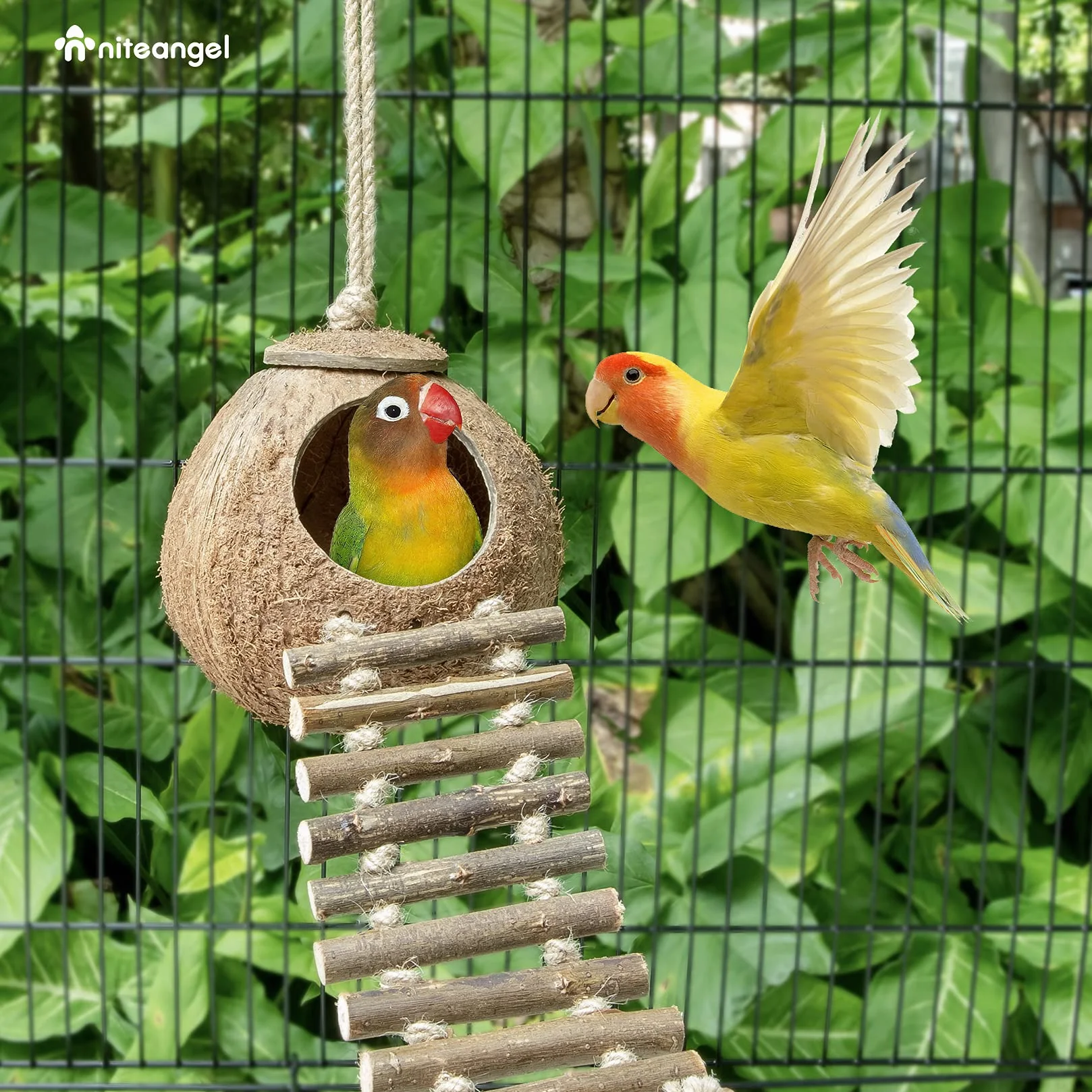 Niteangel® Nid d'oiseau naturel Coconut Hideaway avec échelle, jouet pour oiseaux et petits animaux